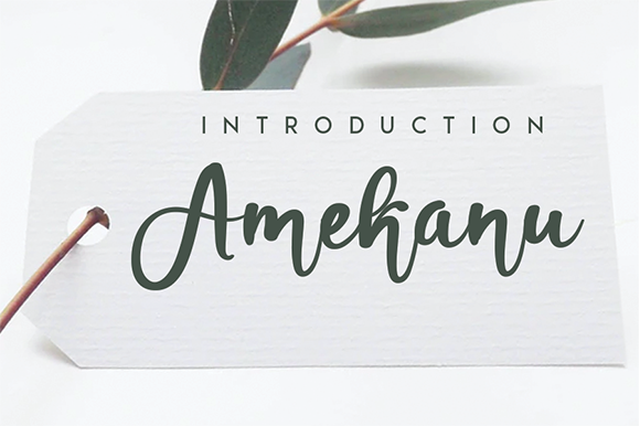 Amekanu: A Handwritten Script for Real Projects