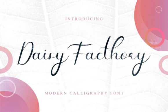 Daisy Facthory Font for Editorial Design