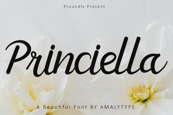 Princiella Font for Business Branding