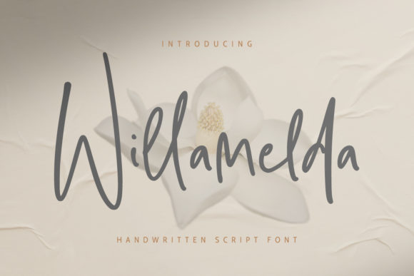 Willamelda: A Script Font for Real Design Work